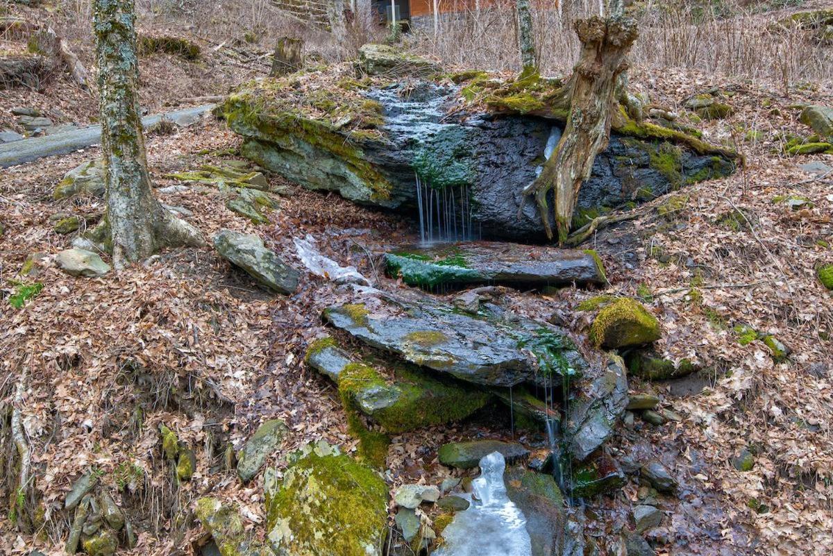 Rested Traveler Blowing Rock Eksteriør bilde